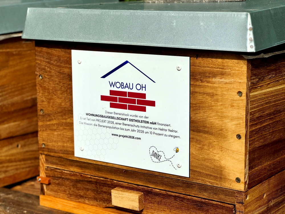 Wobau-OH Bienen: Unsere neuen Mieter mit einer wichtigen Mission! 